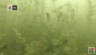 Neverovatni snimci sa 11 metara dubine: Ronioci zabeležili kako izgleda dno "Peskare" u Zrenjaninu