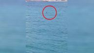 Strah kod Dubrovnika: Kupači misle da su videli ajkulino peraje u moru, policija ih isterala iz vode