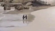 Definicija ljubavi u 16 sekundi - zaljubljenost ova dva pingvina je gotovo nestvarna