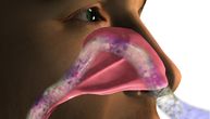 Jedan od 10 pacijenata nikada neće povratiti osećaj mirisa i ukusa nakon korona virusa