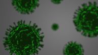 Novi soj korona virusa širi se brže od prvobitnog, tri do šest puta je zarazniji