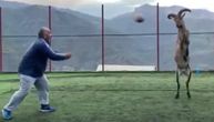Kozorog Ilijas nova nada Dagestana: Video žene kako igraju ragbi, pa sišao sa planine da i on proba