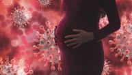 SAD trudnicama i porodiljama preporučuje vakcinaciju Fajzer i Moderna vakcinom