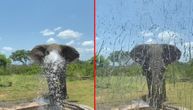Slon koji voli privatnost: Manekenka ga snimala dok pije vodu, pa je napunio surlu i krenuo u napad