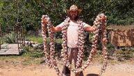 Poljoprivrednik iz Pazina ispleo "anti covid" venac od belog luka: Dugačak je osam metara