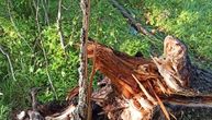 Meštani ne pamte da je u Kamenoj Gori oluja ovako besnela: Grom prepolovio stablo kod Prijepolja