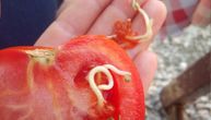 Katarina presekla paradajz, pa ugledala ovo u njemu: Je li čudo prirode, GMO ili nešto treće?