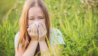 Alergični na polene mogu da odahnu: Kiša oprala vazduh, opada cvetanje ambrozije