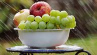 Jabuku oljuštite, grožđe perite pola sata: Prof. Perišić otkriva kako da uklonite hemikalije sa voća