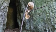 Fotografije jezivog otkrića u pećini kod Zaječara: Ovako su visile obešene ljudske kosti
