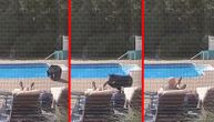Dok se sunčao na bazenu, prišao mu medved i pipnuo ga po stopalu: Usledila je neobična situacija