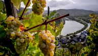 Pobuna u Italiji: Hoće da im promene ukus vina, a ovo im je plan