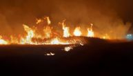 Hiljade životinja živo izgorelo kod Bečeja, prizori na zgarištu su potresni: Čovek ih namerno spalio
