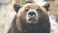 Medved se uvukao u kantu za smeće i prepao turistu u Nevadi: Sada će završiti na sudu