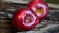 "Od druga Tita nismo izvozili jabuku u Indiju": Jutros krenuli prvi šleperi...