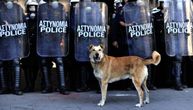 Pas koji je postao grčki narodni heroj: Zbog udisanja suzavaca imao je brojne zdravstvene probleme