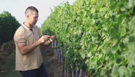 U jednom selu srpske Toskane nalazi se čak deset vinarija: Nemanja iz Lipovca malagi vraća sjaj