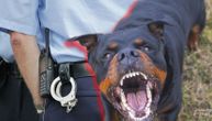 Horor u Ubu, rotvajler napao policijsku patrolu: U samoodbrani ispaljen jedan metak i pas je ranjen