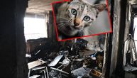 Mačka izazvala požar u kom je devojčica zadobila opekotine 3. stepena: Oborila slavsku sveću