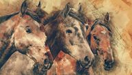 Koliko konja vidite na slici? Odgovor otkriva kako posmatrate svet oko sebe!