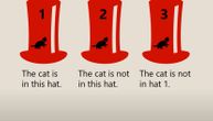 Mozgalica koju može da reši samo 36 odsto ljudi: U kom šeširu se nalazi mačka?