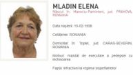 Elena (82) je nastariji begunac: Sakrila drogu u sarme, pa pokušala da ih pošalje nećaku