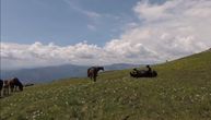 Na livadama ove magične srpske planine možete da vidite divlje konje: Lepota koje nismo ni svesni!