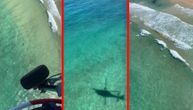 Panika u Australiji: Preko 50 ajkula otkriveno blizu plaže, ljudi u strahu