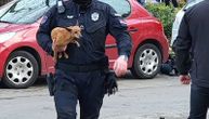 Saddest and most beautiful photo from Novi Sad fire: A policeman and the terrified puppy he rescued