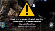Policija našla staforde izujedane do kosti, pohapšeni organizatori borbi: Jezivi snimci iz Mađarske