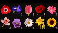 Izaberite cvet sa slike i bolje upoznajte sami sebe: Koji vas najviše privlači?