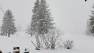 Ovaj kraj Srbije potpuno se zabeleo: Kiša je u Kamenoj Gori prešla u sneg, Zlatibor je zimska bajka