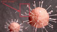 Pojavio se "danski soj" korona virusa koji lakše prodire u organizam