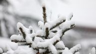 U snegu na Papuku pronađena dva smrznuta tela: Sumnja se da je reč o migrantima