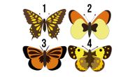 Test otkriva tajnu vaše duše: Odaberite leptira sa slike i saznajte šta vam Univerzum poručuje
