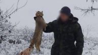 Kako je fotografija odstreljene mačke pokrenula poziv na linč u Srbiji: Cela priča iza ove slike