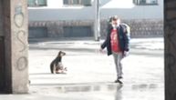 Napadi pasa lutalica u Prijepolju se nastavljaju: Za tri dana četiri posete lekaru zbog ujeda
