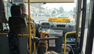 Neobično drugarstvo na putu Batajnica-Nova Pazova: Vozač pustio psa da se ugreje, pa stekao kolegu