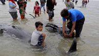 Nasukalo se 45 kitova u Indoneziji: Volonteri uspeli da vrate u more samo tri životinje