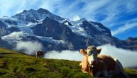Ova zemlja oporezuje sve: Od bitkoina do krava sa Alpa. Šta svet može da nauči iz toga?