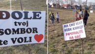 Somborčani odali počast Balaševiću: Zasadili po sadnicu bagrema za svaku godinu Đoletovog života