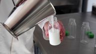 Najskuplje mleko na svetu po legendi pio i Miloš Obilić? Pola litre košta čak 1.770 dinara