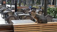 This is Belgrade on the first day of new lockdown: Streets deserted, single "guest" in cafe's garden