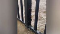 Jeziv snimak iz Australije: Ljudi evakuisani zbog poplava, stotine paukova krenulo ka kućama