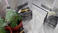 Beograđanin kuću kod Bajine Bašte pretvorio u laboratoriju za uzgoj marihuane: Pao u akciji Gnev