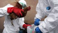 Ove godine prijavljena 2 slučaja ptičijeg gripa kod čoveka: Jedan zabeležen u Kini