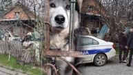 Drama u Pivari: Nesnosan smrad iz zapuštenog dvorišta, psi izgladneli, a članovi Levijatana uhapšeni