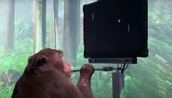 "Čipovani" majmun telepatski odigrao igricu koristeći sopstveni mozak