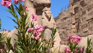 "Daily Mail" preporučuje Egipat kao jednu od najboljih turističkih destinacija za 2022.