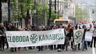 "Sloboda kanabisu": U Beogradu skup za legalizaciju u medicinske svrhe
